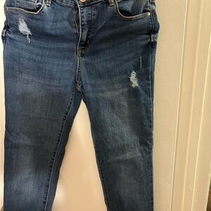 Jordache Blue Skinny Jeans